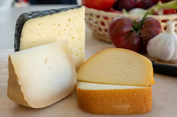 Cheese collection, French fol epi  cheese with many little holes, etorki, tomme noire des pyrenees and ossau iraty cheese