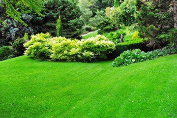garden lawn
