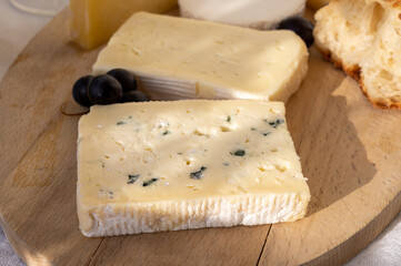 French cheese collection on marble board, emmental, carre de aurillac, petit cantal AOP Jeune, buche chevre, brie