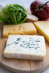 Cheese collection, French fol epi  cheese with many little holes, etorki, tomme noire des pyrenees and ossau iraty cheese