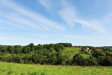 rural english landscape with leafy trees, green fields and blue sky