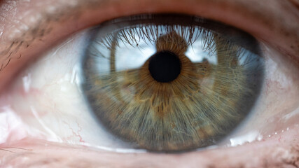 Macro Eye Collection