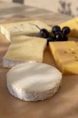 French cheese collection on marble board, emmental, carre de aurillac, petit cantal AOP Jeune, buche chevre, brie