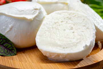 Fresh handmade soft Italian cheese from Campania, white balls of buffalo mozzarella cheese made from cow milk ready to eat