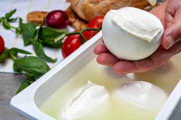 Cheese maker holding in hand fresh handmade soft Italian cheese from Campania, white balls of buffalo mozzarella cheese made from cow milk in container with water