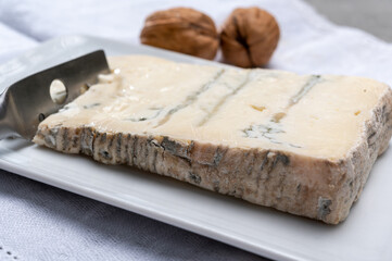 Italian food, buttery or firm blue cheese made from cow milk in Gorgonzola, Milan, Italy