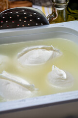 Cheese shop, fresh handmade soft Italian cheese from Campania, white balls of buffalo mozzarella cheese made from cow milk in container with water