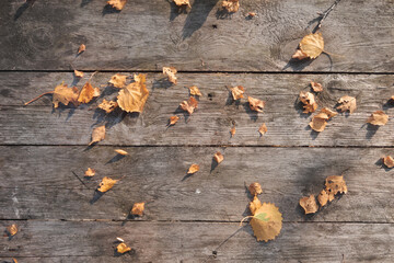 Fallen autumn yellow leaves on the wooden floor.