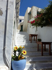 Vicolo di un villaggio tradizionale di Chora nell'isola dI Amorgos nelle Cicladi in Grecia.