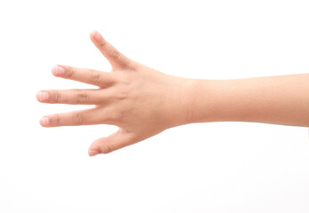 female hand isolated on white background