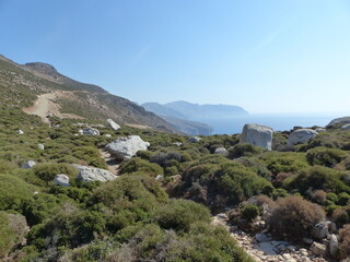Fototapeta na wymiar Macchia mediterranea ad Amorgos nelle isole clicladi in Grecia.