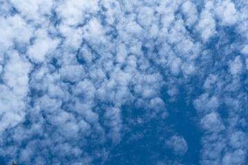 Blue sky with fluffy cloudy - Background and texture photo.