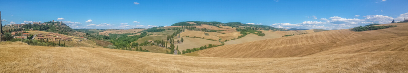 Ultra wide view of Tuscan hills with many cypresses