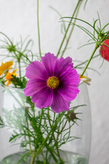 pretty vase of wild flowers 