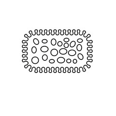 bacteria, viruses, or microbes that are invisible to the eye and only using a microscope to see it.