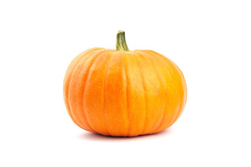 Autumn pumpkin isolated on white background