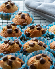 muffins in blue cases 