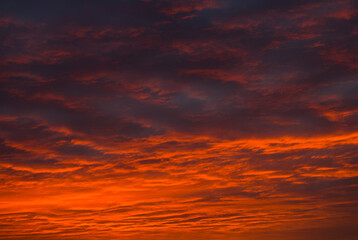 Red clouds in the sunset sky (background)