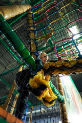 At the playground. Kids having fun. Brother and sisters forgetting about the dark times we are in. Sanitation and sterilization of the toys and apparatus are important to avoid spreading the covid-19 