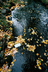 A face mask floats down a stream or river. Symbolic for the covis-19 times and the environment. Pollution in the nature. 