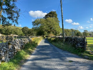 Country lane, with dry stone walls, next to old trees, and fields, leading to Kilnsey, on a hot summers day in, Littondale, Skipton, UK