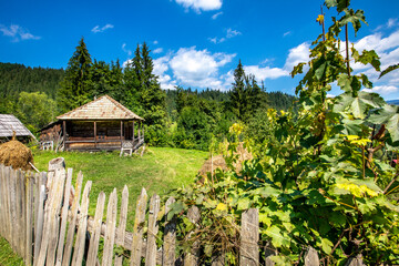 Rumunia © BARONPHOTOGRAPHY.EU