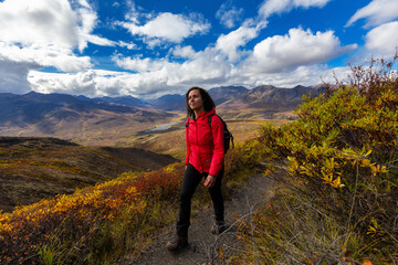 Obraz premium Scenic View of Woman Hiking on a Cloudy Fall Day in Canadian Nature. Taken in Tombstone Territorial Park, Yukon, Canada.