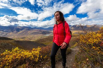 Naklejka premium Scenic View of Woman Hiking on a Cloudy Fall Day in Canadian Nature. Taken in Tombstone Territorial Park, Yukon, Canada.