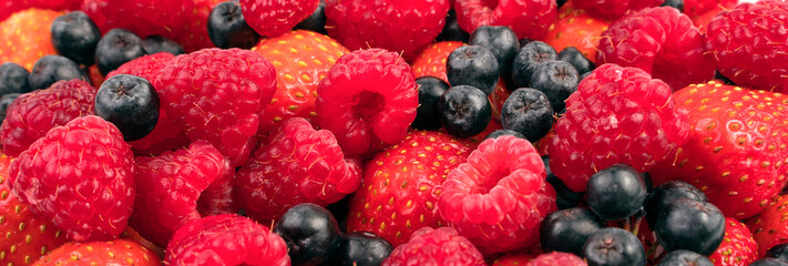 Background-panorama of a large assortment of fresh raspberries, strawberries, mountain ash. The concept of proper nutrition.