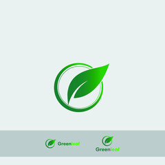 green leaf logo design template