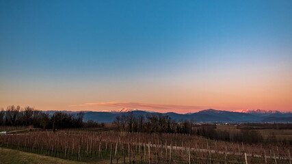 Obraz na płótnie Canvas Winter sunset in the vineyards of Collio Friulano