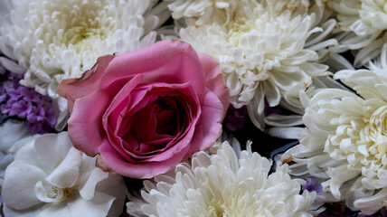 One Pink rose flowers arrange on white flowers