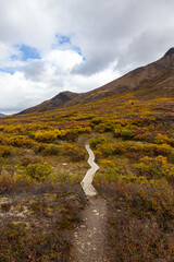 Beautiful View of Hiking Trail and Mountains during Fall in Canadian Nature. Taken in Tombstone Territorial Park, Yukon, Canada.