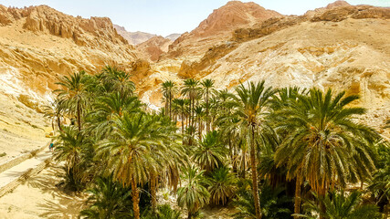 Fototapeta na wymiar Mountain oasis Chebika in Sahara desert. Tunisia