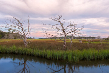 Marsh on Jekyll Island, Georgia, USA