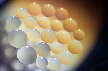 Oil drops in the water create an artistic and imaginatively designed abstract background