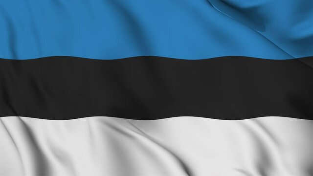 Flag of the Republic of Estonia gently waving in the wind