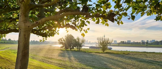 Morgenlicht Stimmung am Rheinufer mit Blick auf die Skyline von Düsseldorf © festfotodesign