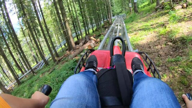 Person rides in fast rodelbahn sledding in mountains in woods among trees