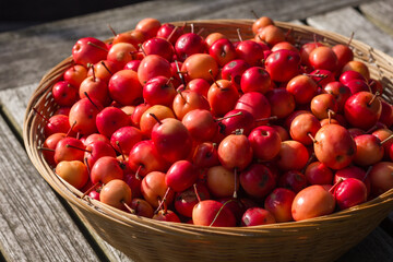 Basket of crab apples freshly harvested