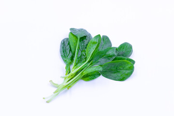Young fresh spinach leaves on a white background.