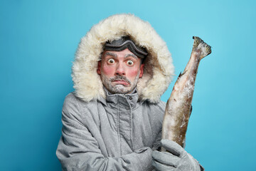 Winter time concept. Stupefied scared man eskimos goes fishing on ice holds frozen fish dressed in grey jacket with hood travels in north isolated on blue wall. Cold season and adventure travel