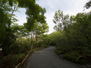 Fototapeta na wymiar Jardines del Templo Tenryuji, en el barrio de Arashiyama, en Kioto, Japón