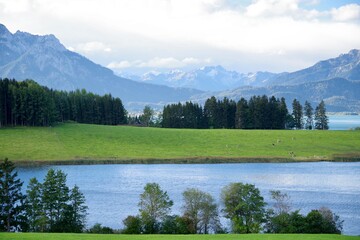 Fototapeta premium Forggensee