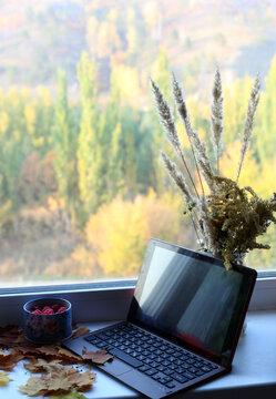 Laptop In Front Of Autumn Window View