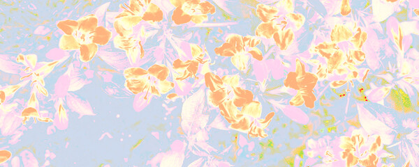 Blue Flora Decoration. Orange Plant Banner. White Female Pattern. Bright Popular Presentation. Pastel Textured Design. Pink Spring Backdrop. Bright Abstract Paper.