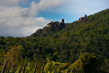 Fototapeta na wymiar Blick auf die Burgen von Ribeauvillé im Elsass