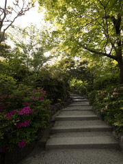 Jardines del Templo Tenryuji, en el barrio de Arashiyama, en Kioto, Japón