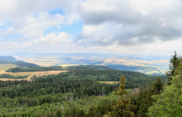 landscape with trees and clouds