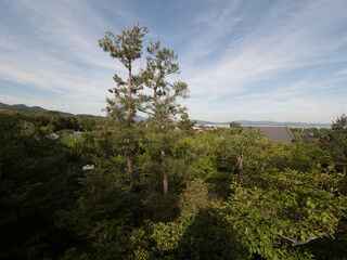 Jardines del Templo Tenryuji, en el barrio de Arashiyama, en Kioto, Japón